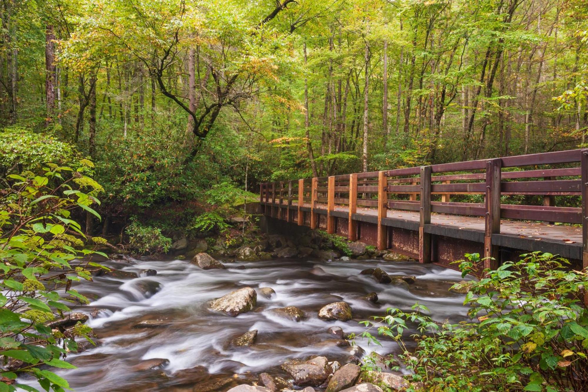 Villa Amazing Grace-1089 Of Free Area Attraction Tickets For Each Paid Day!!! Sevierville Exterior foto